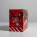 Пакет‒коробка «Новогодняя посылка», 28 × 20 × 13 см