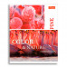Тетрадь общая, 36 листов, Color Collage, линия