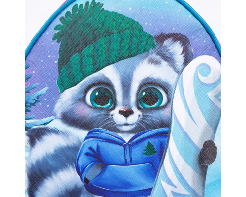 Рюкзак детский «Енот со сноубордом»