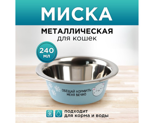 Миска металлическая для кошки «Обещай кормить меня вечно», 240 мл, 11х4 см