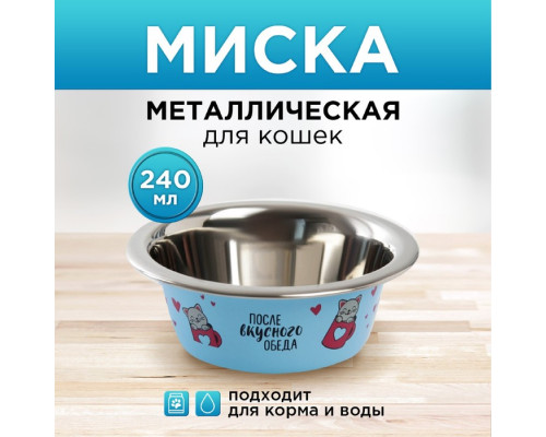 Миска металлическая для кошки «После вкусного обеда», 240 мл, 11х4 см
