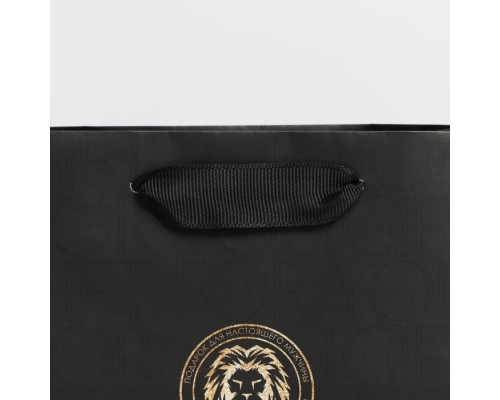 Пакет ламинированный горизонтальный «Лев», S 12 × 15 × 5,5 см