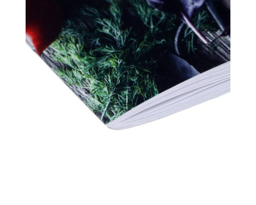 Книга для записи кулинарных рецептов А5, 48 листов "Консервация", обложка мелованный картон, тиснение фольгой, ламинация Soft Touch