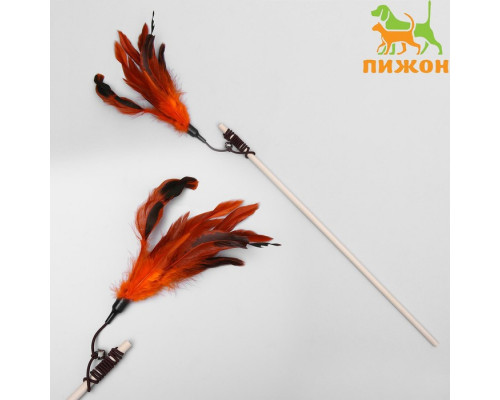 Дразнилка-удочка с перышками и бубенчиком, деревянная палочка 40 см, микс цветов