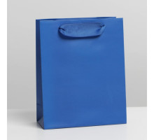 Пакет ламинированный «Синий», S 12 × 15 × 5,5 см