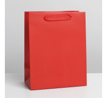 Пакет ламинированный «Красный», MS 18 × 23 × 10 см