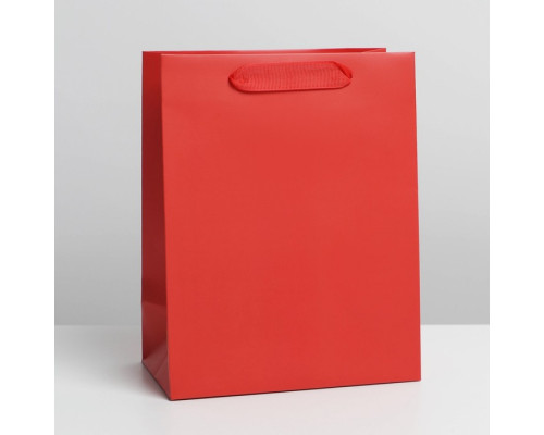 Пакет ламинированный «Красный», MS 18 × 23 × 10 см