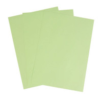 Бумага цветная А4, 100 листов Calligrata Пастель, зелёная, 80 г/м²