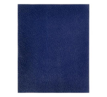 Тетрадь 48 листов в клетку «Синяя», обложка бумвинил