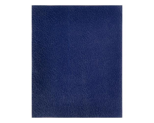 Тетрадь 48 листов в клетку «Синяя», обложка бумвинил
