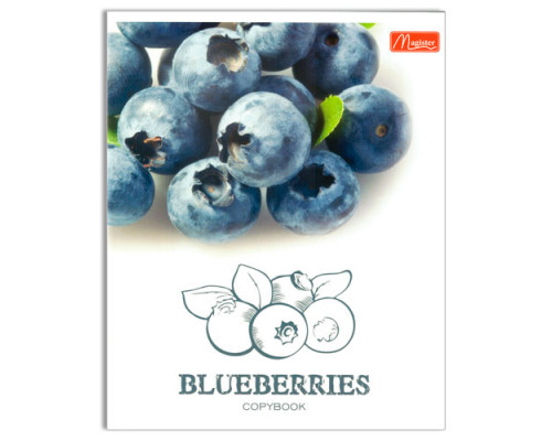 Тетрадь общая, 48 листов, Berries, линия
