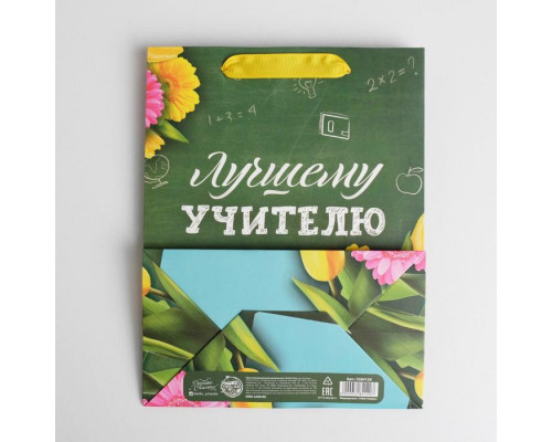 Пакет ламинированный вертикальный «Лучшему Учителю», MS 18 × 23 × 10 см, зелёный